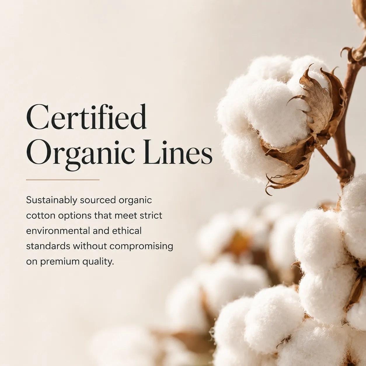 Zertifizierte Bio-Linien: nachhaltig beschaffte Bio-Baumwolle, die strenge Umwelt- und Ethikstandards erfüllt, ohne Abstriche bei der Qualität.